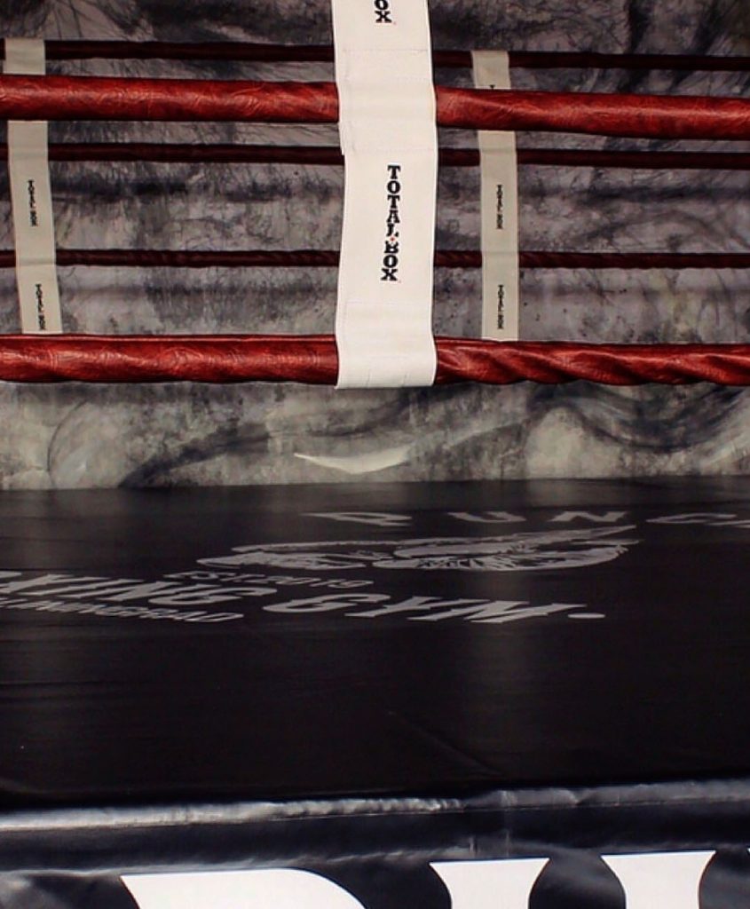 «TOTALBOX» в клубе «Puncher»