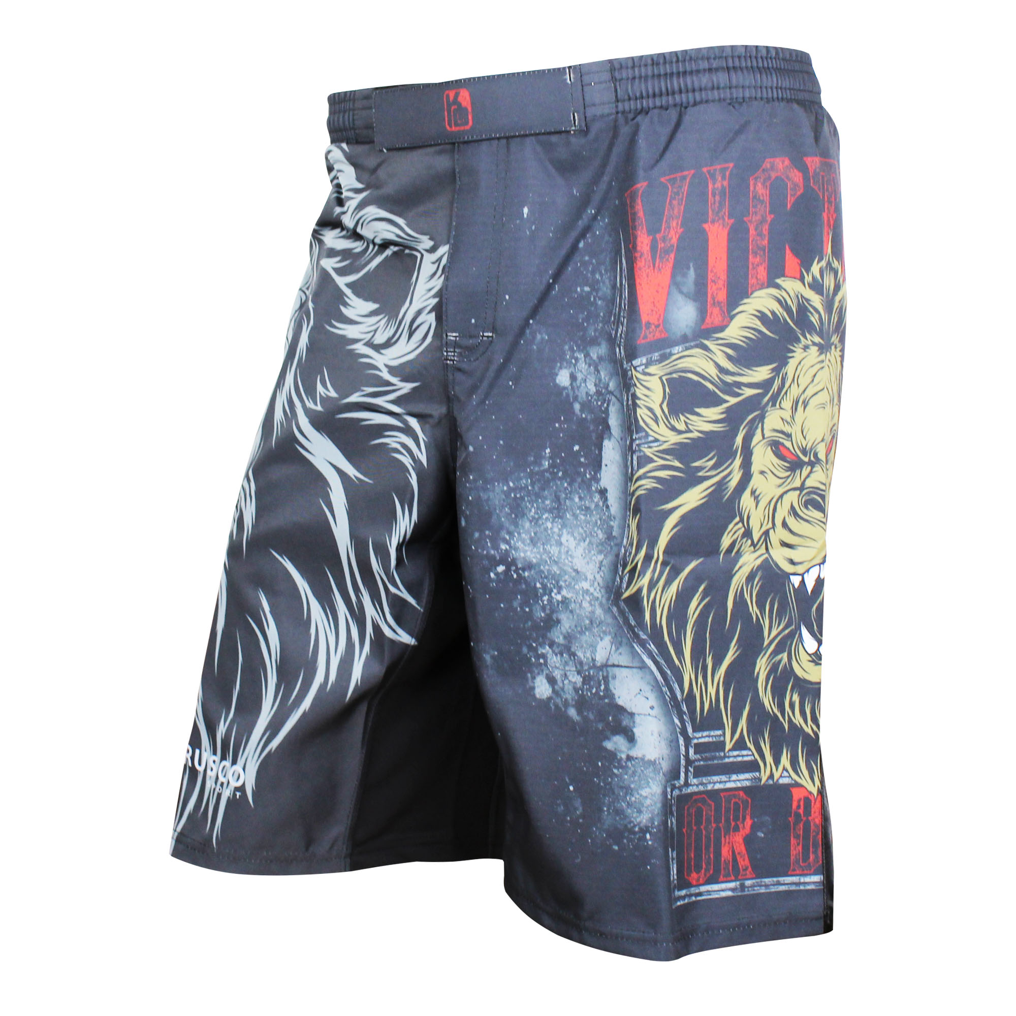 Шорты детские RUSCO SPORT Lion