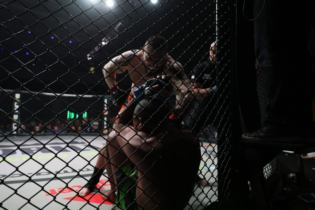 Солдаткин - Соуза - нокаут.jpg