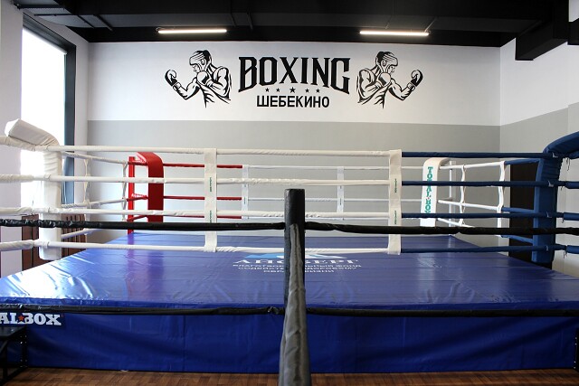 bokserskij-ring-totalbox-v-shhebekino.jpg